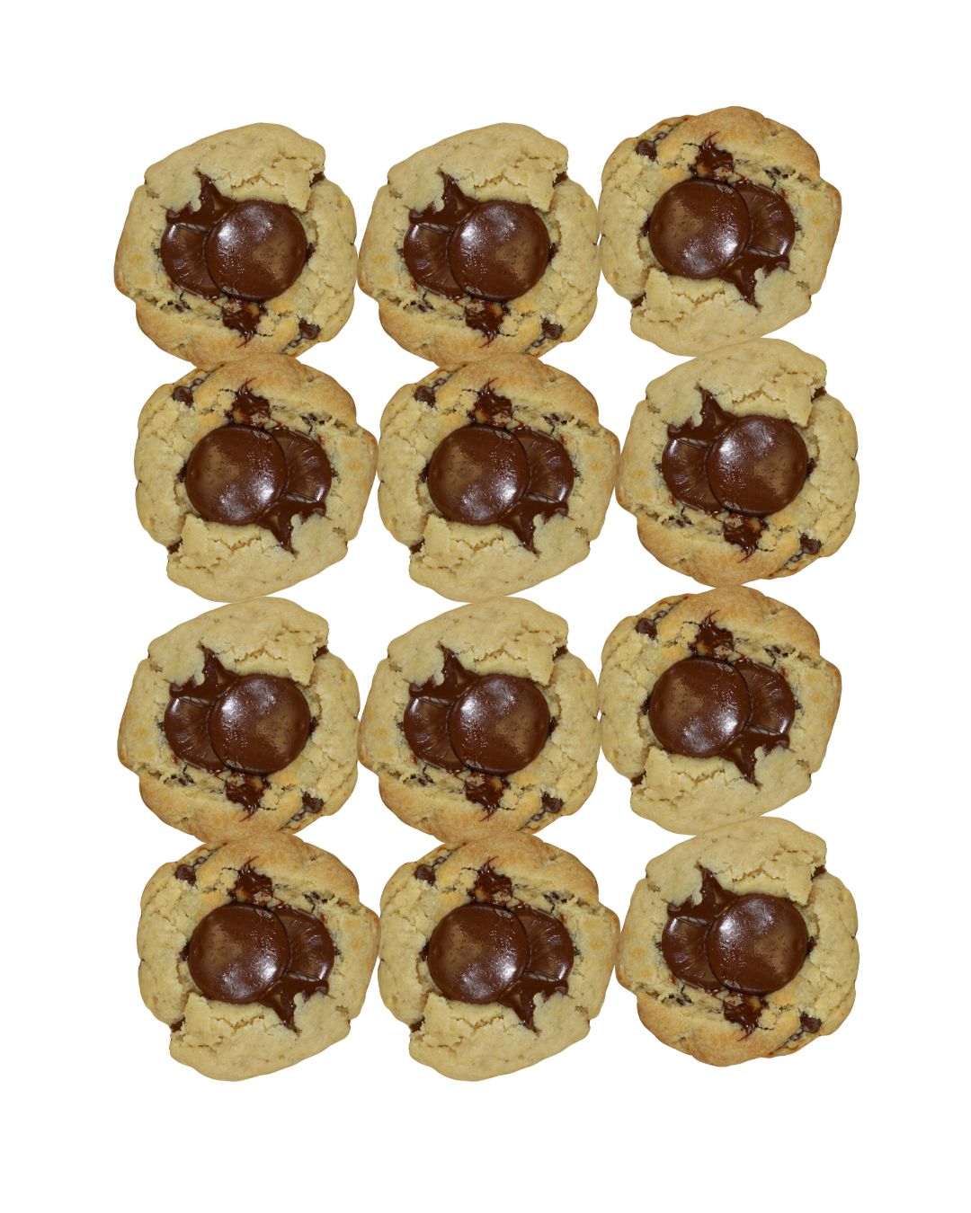 Grandéur Dark Chocolate Cookies