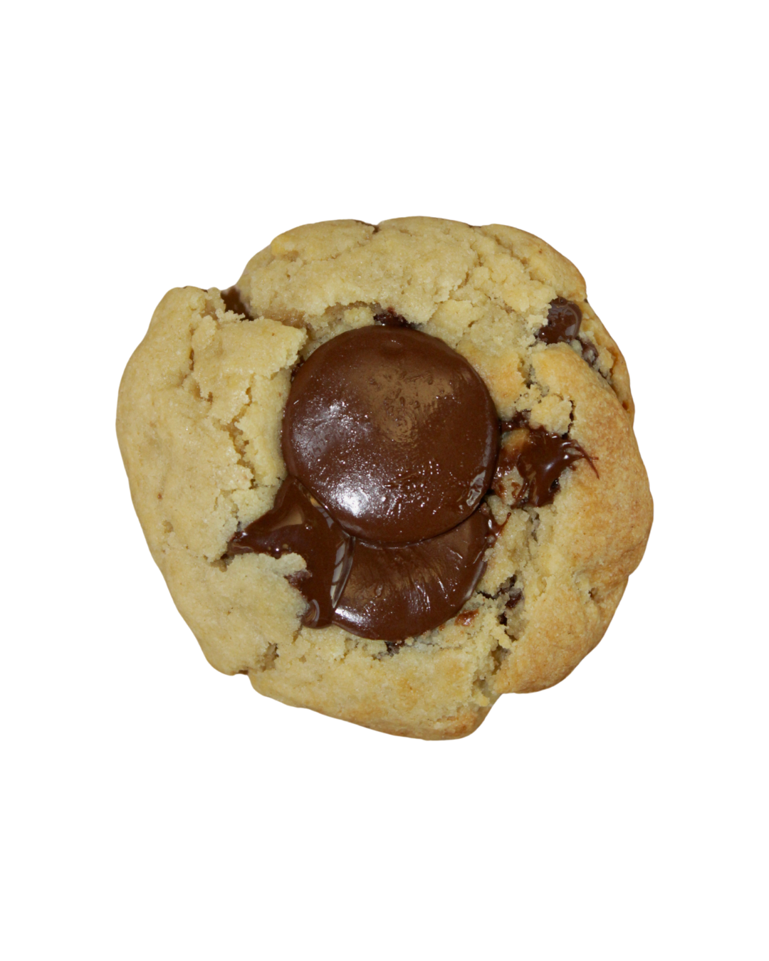 Grandéur Dark Chocolate Cookies