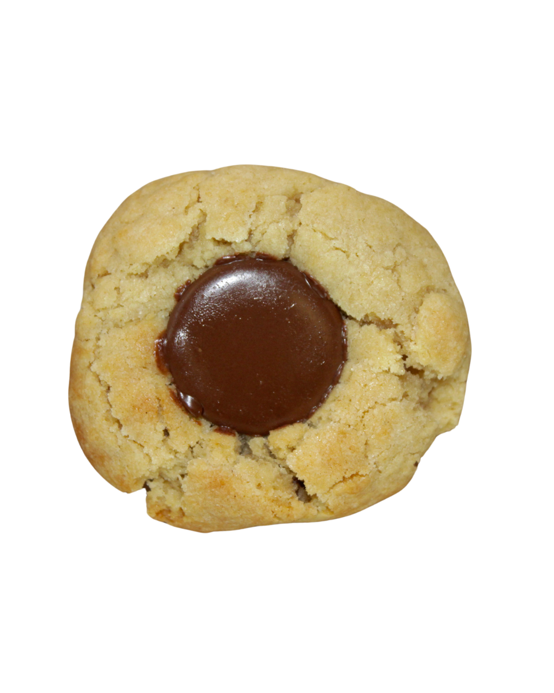 Classic Dark Chocolate Cookies